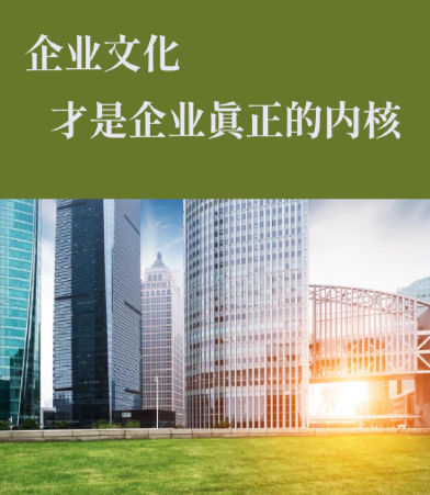 泉州丰泽区电商代运营服务商选择标准与评估维度分析